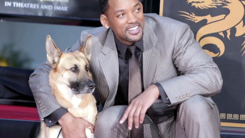 Atores que se apaixonaram pelos animais com os quais contracenaram (alguns até adotaram!)