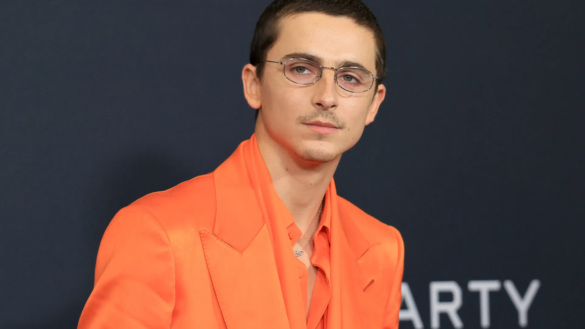 Timothée Chalamet comemora chegada aos 30 anos