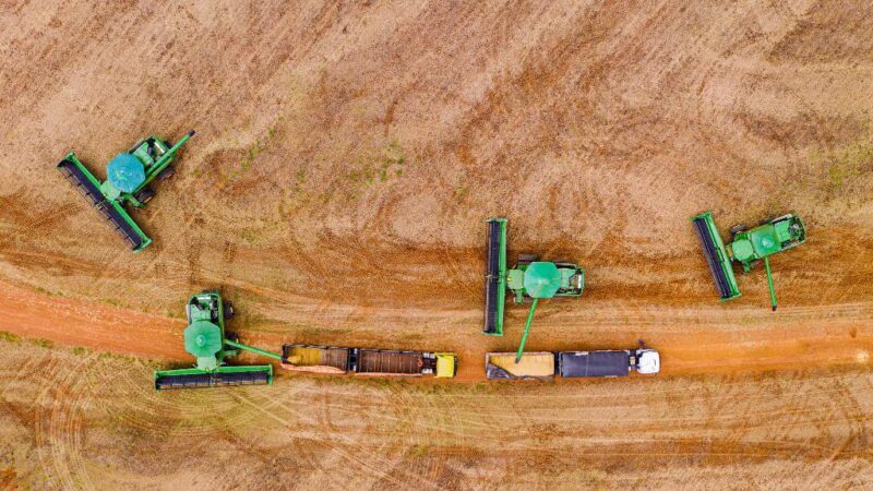 Sefaz define regras e limite para incentivo fiscal à soja a granel em 2026