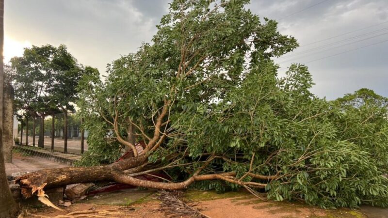 Ventos fortes e chuva de granizo provocam danos em Colíder