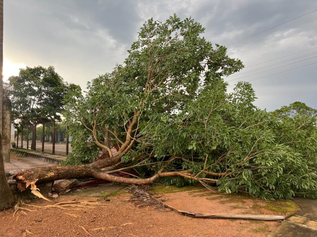Ventos fortes e chuva de granizo provocam danos em Colíder