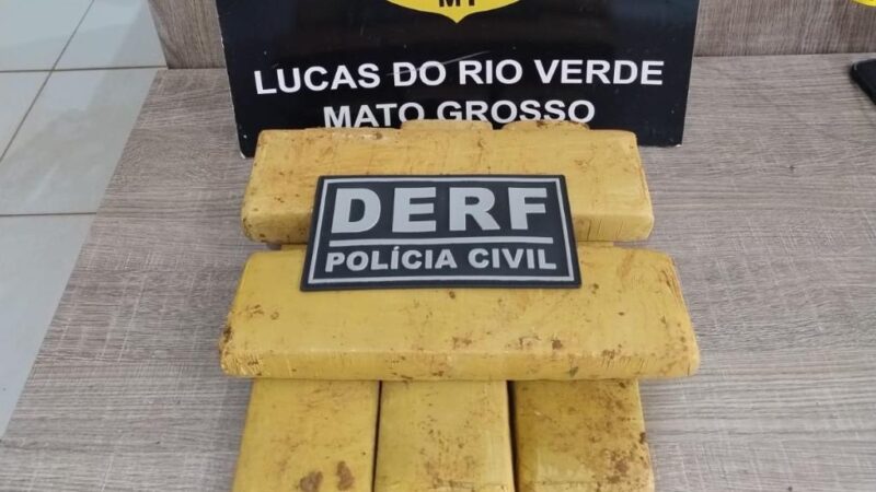 Polícia Civil apreende tabletes de maconha enterrados debaixo de pé de manga em Lucas do Rio Verde