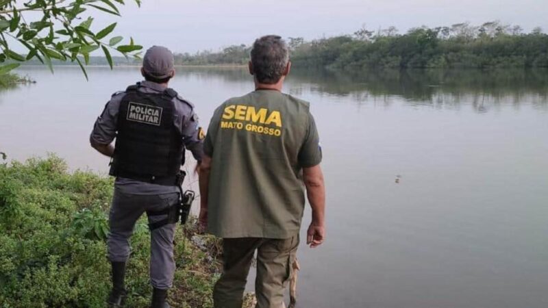 Período da piracema termina neste sábado em diversos rios de MT; Lei do Transporte Zero continua