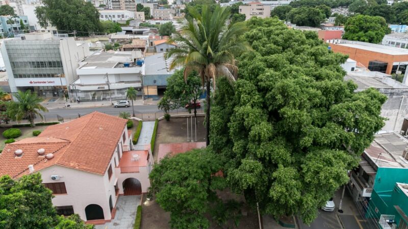 Trecho da rua Cândido Mariano será interditado nesta quinta-feira para poda de árvores