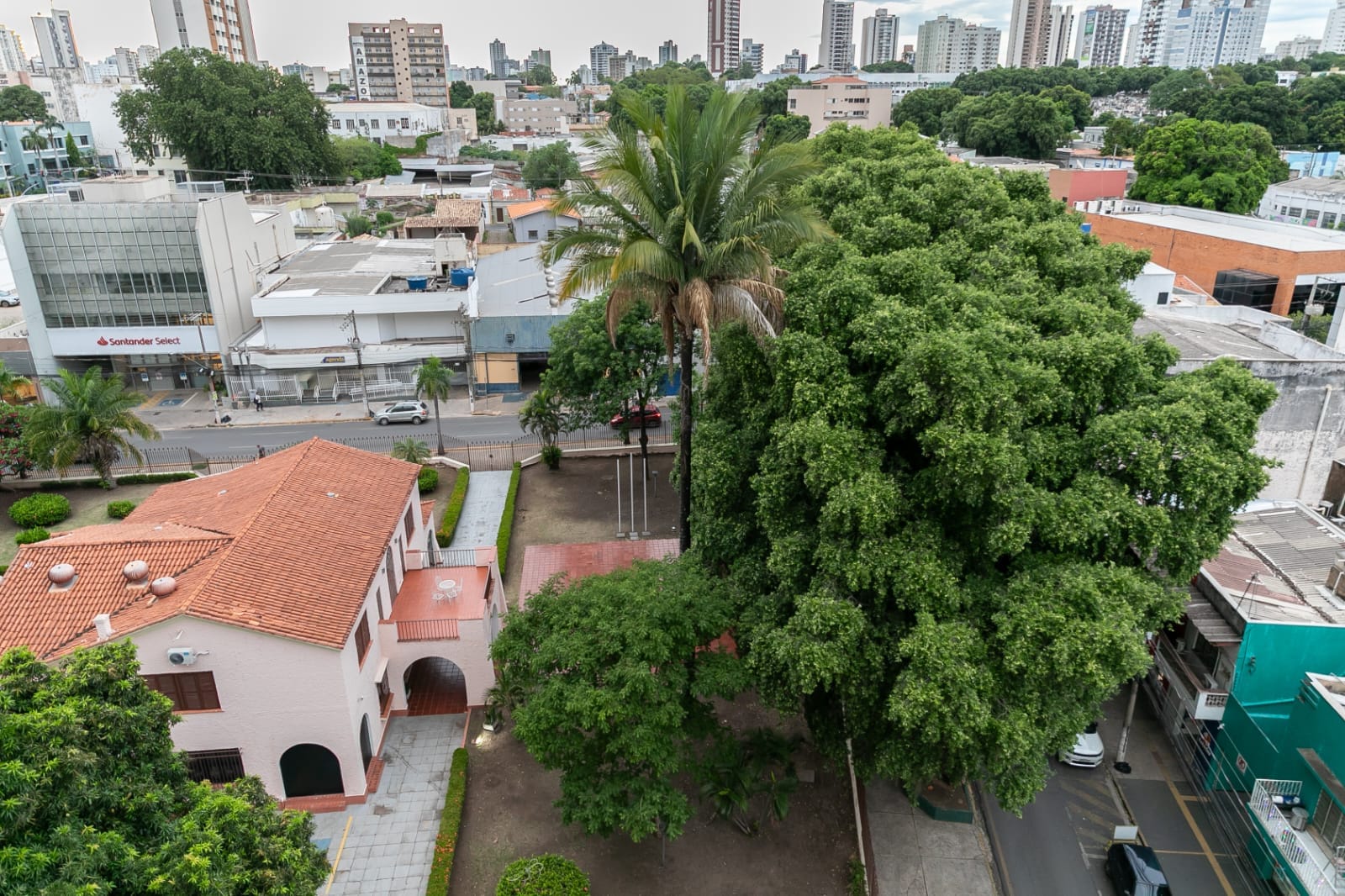 Trecho da rua Cândido Mariano será interditado nesta quinta-feira para poda de árvores