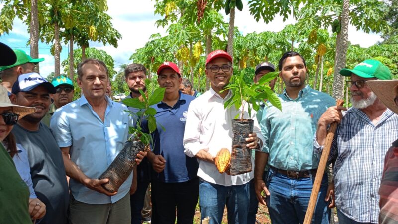 Cacau sustentável abre nova frente de renda para agricultores familiares em MT