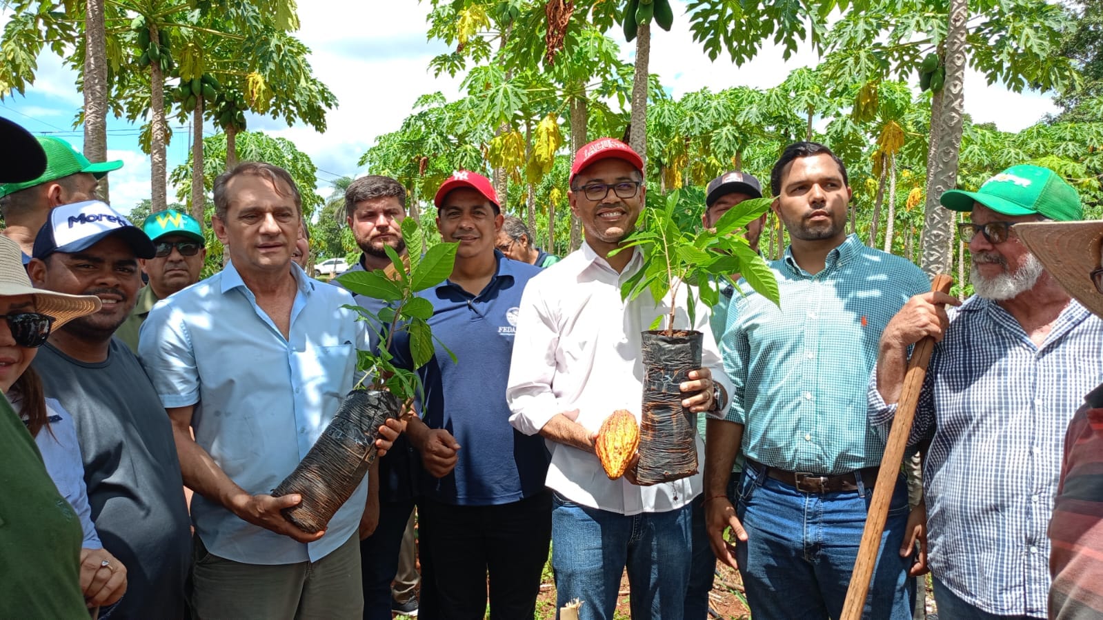 Cacau sustentável abre nova frente de renda para agricultores familiares em MT
