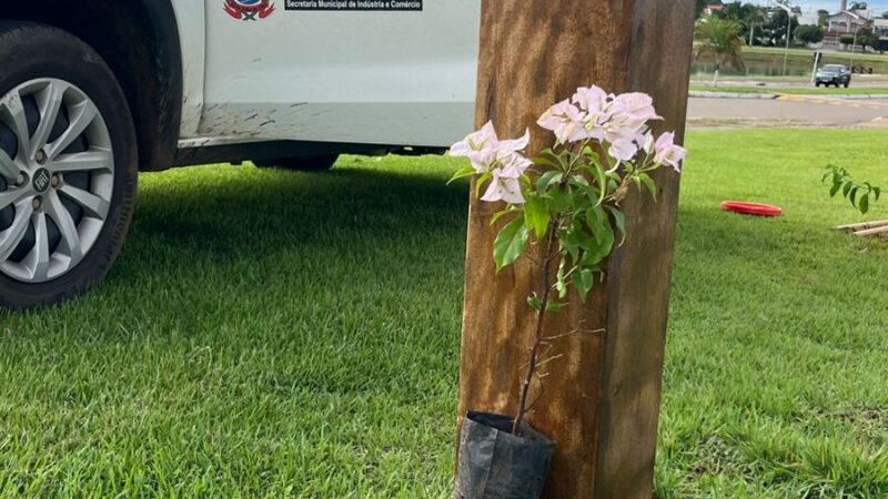 Florindo a Cidade: Cultura e Meio Ambiente unem forças em Matupá