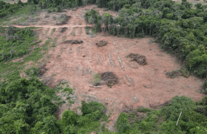Polícia flagra área de desmatamento e apreende tratores em MT; proprietário preso