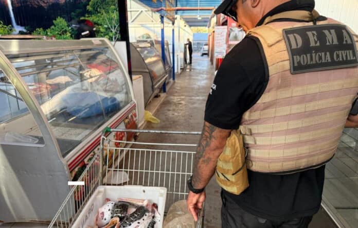 Delegacia registra mais de 80 prisões por crimes ambientais em Mato Grosso