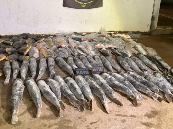 omem é preso com mais de 340 quilos de pescado ilegal em Mato Grosso