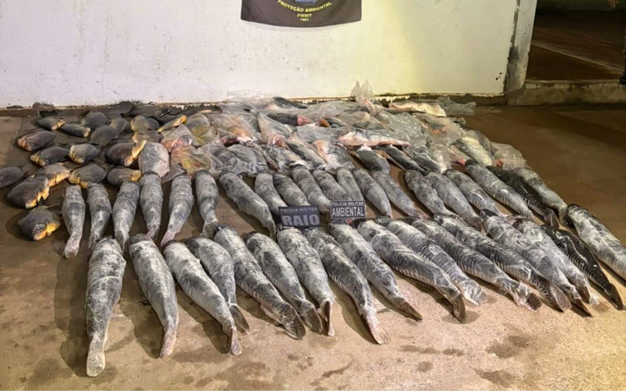 omem é preso com mais de 340 quilos de pescado ilegal em Mato Grosso