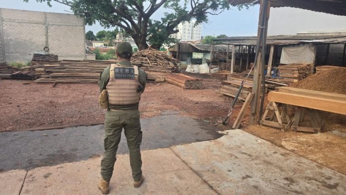 Polícia Civil cumpre mandados e desarticula grupo envolvido em crime ambiental e lavagem de dinheiro