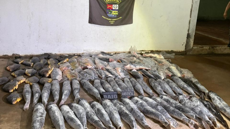 Homem é preso pela PM com mais de 340 quilos de pescado ilegal em bairro nobre de Cuiabá