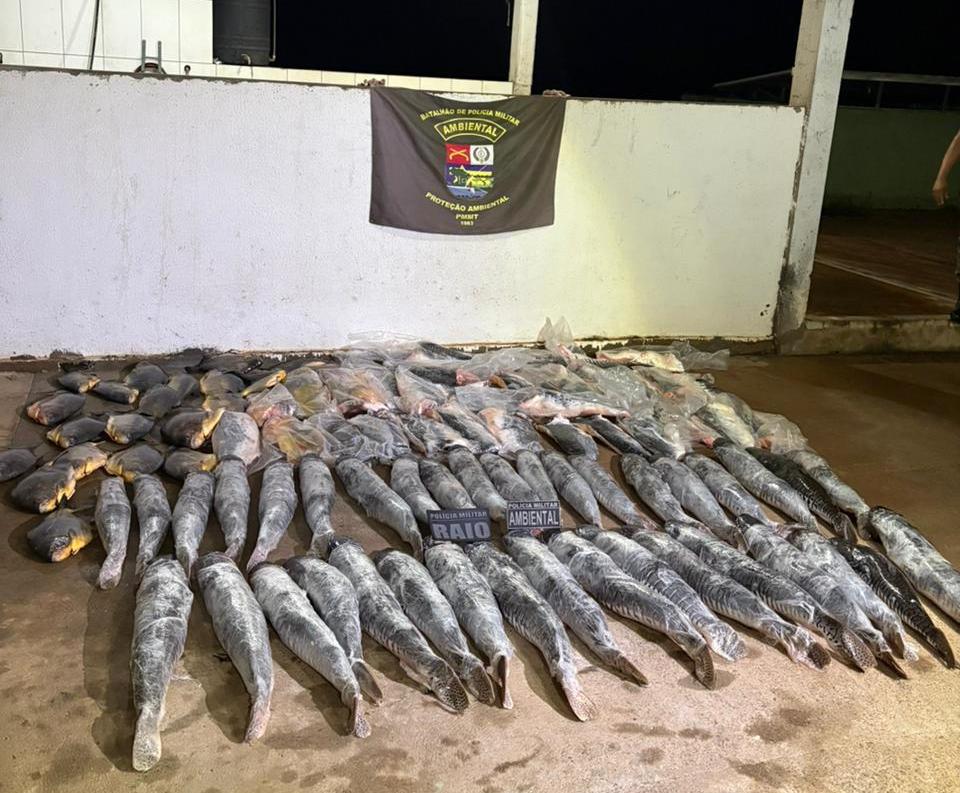 Homem é preso pela PM com mais de 340 quilos de pescado ilegal em bairro nobre de Cuiabá