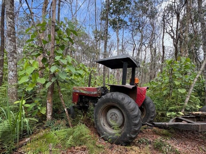 Polícia Civil e Funai derrubam esquema de extração ilegal de madeira em Terra Indígena