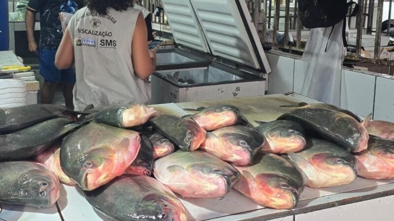 Ação conjunta apreende quase meia tonelada de pescado irregular em feira de Cuiabá