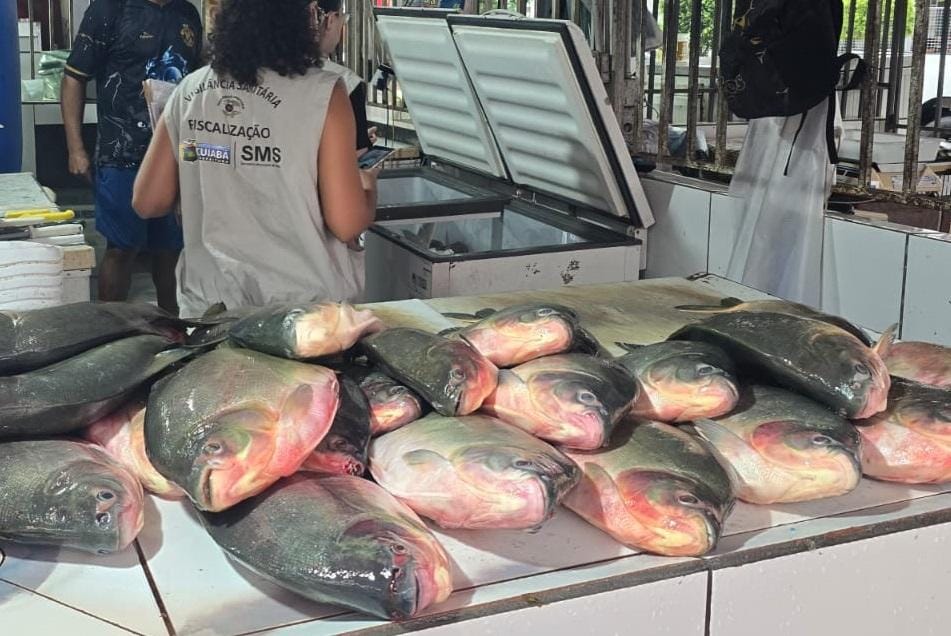 Ação conjunta apreende quase meia tonelada de pescado irregular em feira de Cuiabá