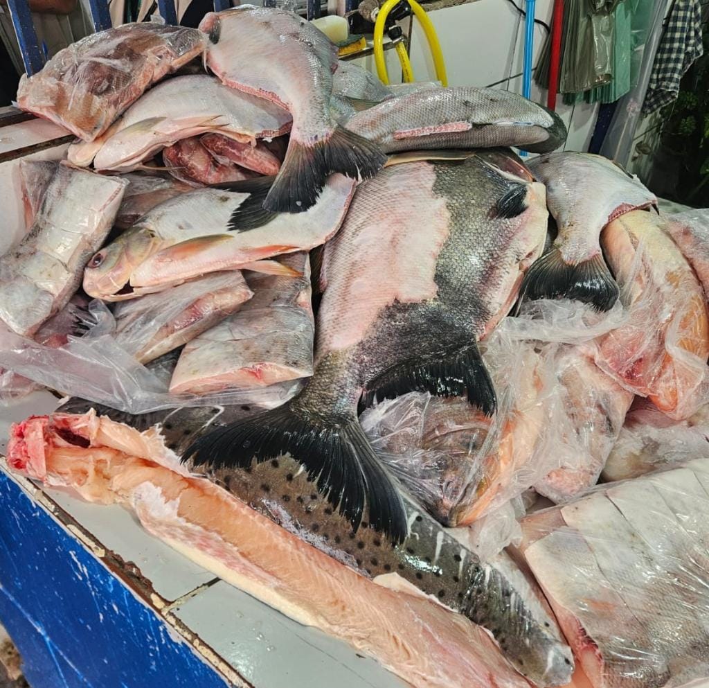 Cuiabá faz decreto que garante legalidade à comercialização de peixe na feira do Praeirinho