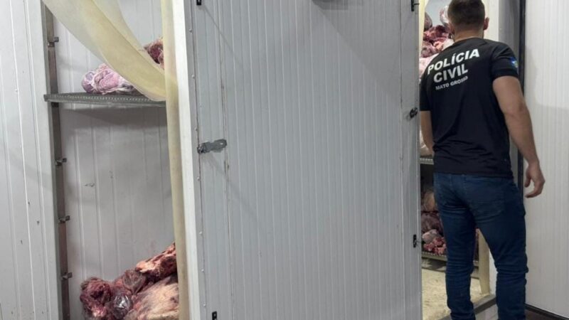 PC intima 11 pessoas que furtaram carga após carreta tombar e recupera 2 toneladas de carne