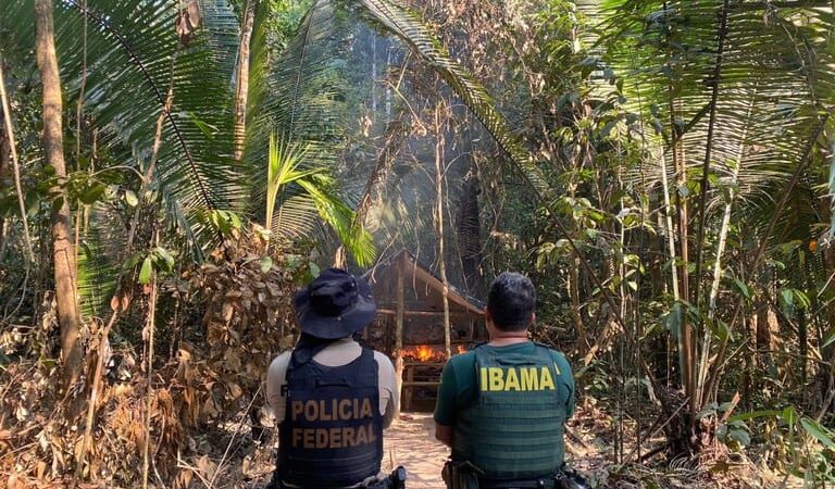 Operação contra garimpo ilegal em Terra Indígena destrói R$ 500 mil em equipamentos em MT