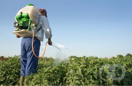 Pequenos agricultores de MT receberam R$ 2,9 bilhões em dois anos