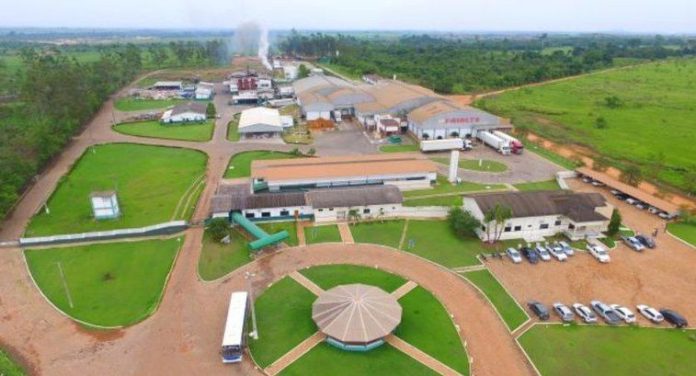 Cartório Eleitoral realiza mutirão de atendimento para funcionários do Frigorífico Frialto em Matupá