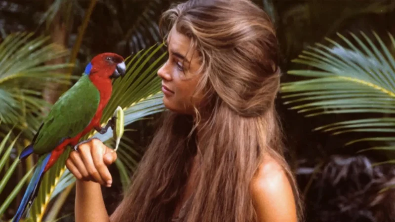 Atores que eram jovens demais para os papéis que interpretaram