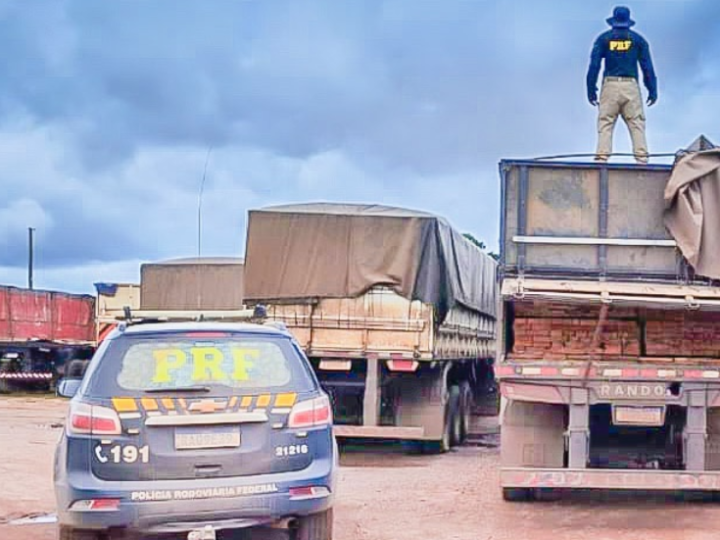 PRF apreende carga de 47 metros cúbicos de madeira em Guarantã do Norte