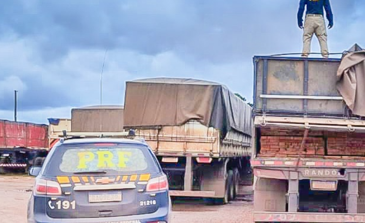 PRF apreende carga de 47 metros cúbicos de madeira em Guarantã do Norte