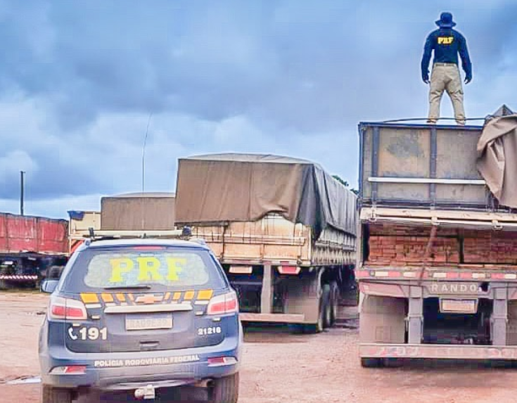 PRF apreende carga de 47 metros cúbicos de madeira em Guarantã do Norte