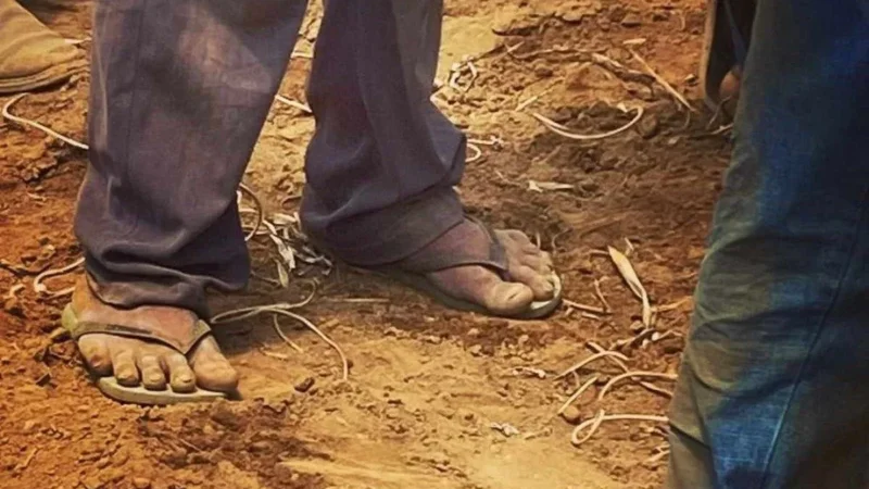 Idoso mantido por 16 anos em  trabalho análogo à escravidão em fazenda de MT receberá R$ 540 mil