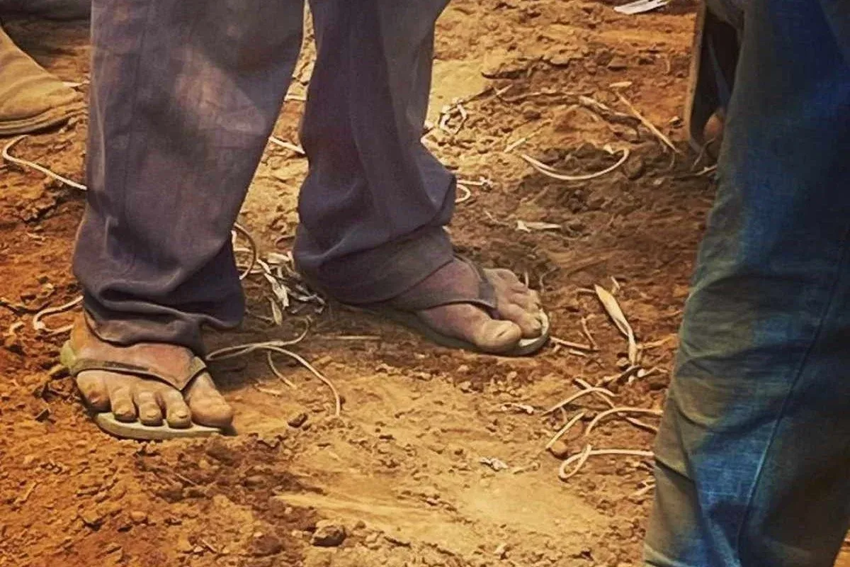 Idoso mantido por 16 anos em  trabalho análogo à escravidão em fazenda de MT receberá R$ 540 mil