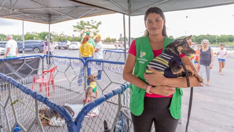 Feira de adoção de animais é realizada neste sábado no Parque Tia Nair em Cuiabá