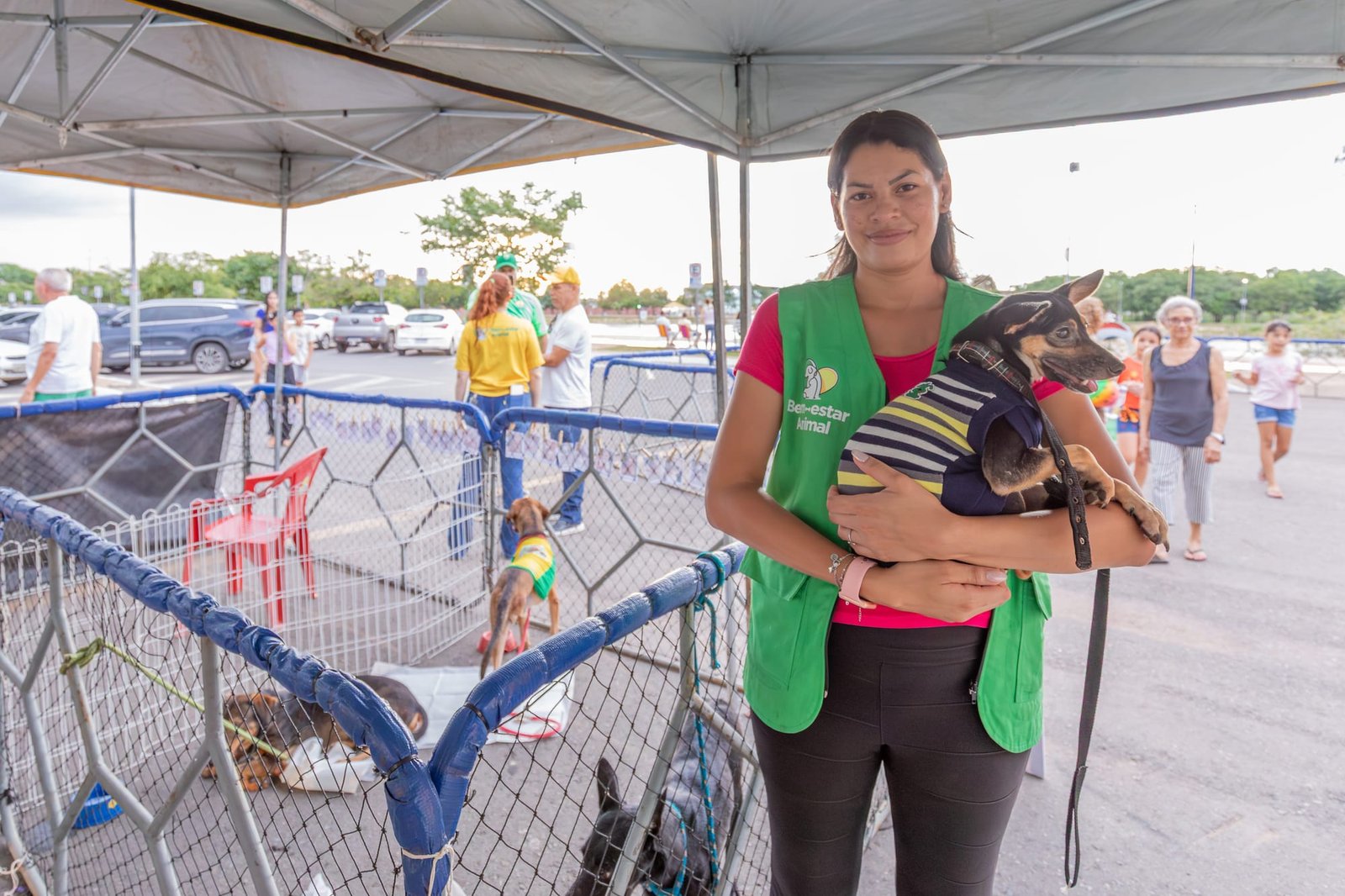 Feira de adoção de animais é realizada neste sábado no Parque Tia Nair em Cuiabá