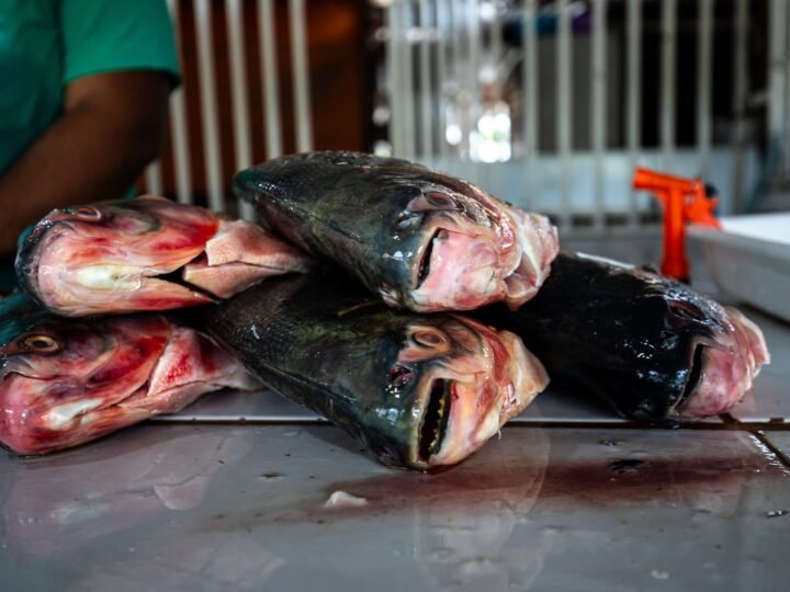 Prazo para vendedores participarem da Feira Peixe Santo termina terça-feira