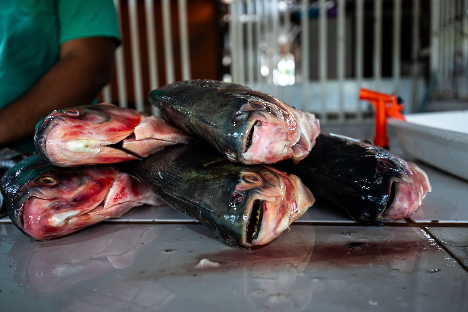 Prazo para vendedores participarem da Feira Peixe Santo termina terça-feira