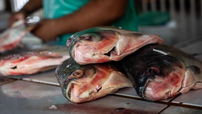 Prefeitura publica portaria da Feira Peixe Santo e abre inscrições para vendedores