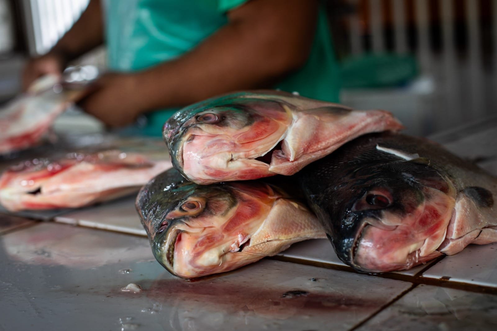 Prefeitura publica portaria da Feira Peixe Santo e abre inscrições para vendedores