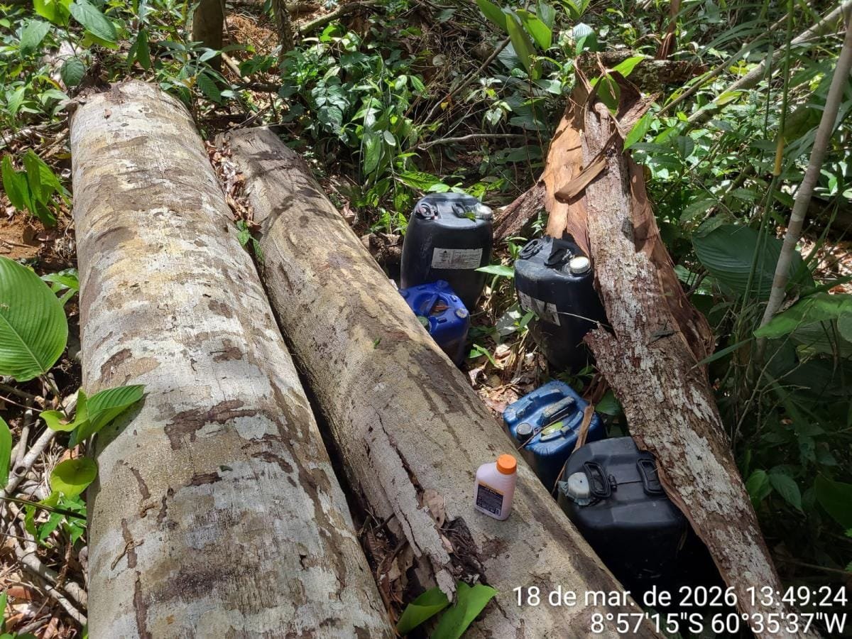 Operação da Polícia Ambiental  flagra desmate ilegal em Mato Grosso e quatro são detidos