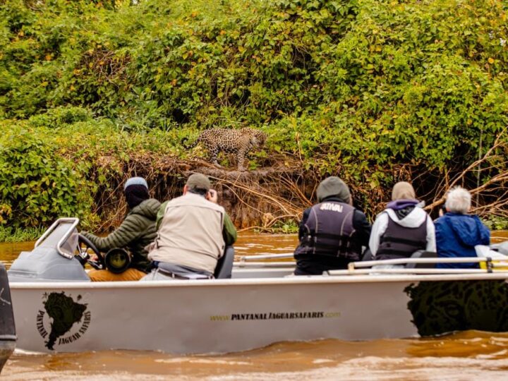 Projeto prevê banheiros flutuantes para turistas observadores de onças em MT
