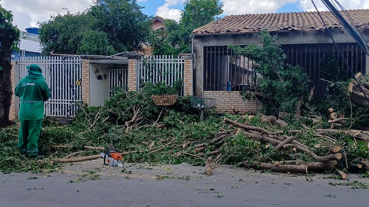 Força-tarefa retira árvores caídas e desobstruí ruas e avenidas após vendaval