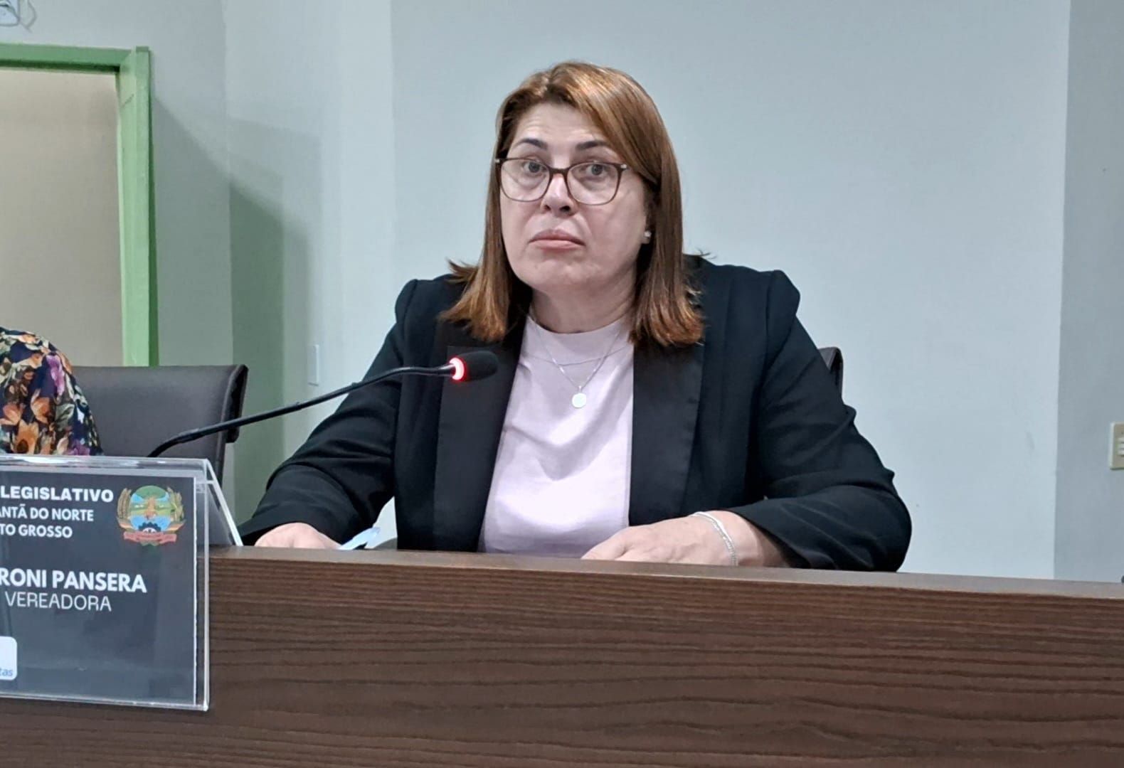Abrigo para Idosos e Reforma da Praça da Cultura foram as duas Indicações da Vereadora Veroni Maria Pansera Aprovadas na 3ª Sessão Ordinária da Câmara Municipal.