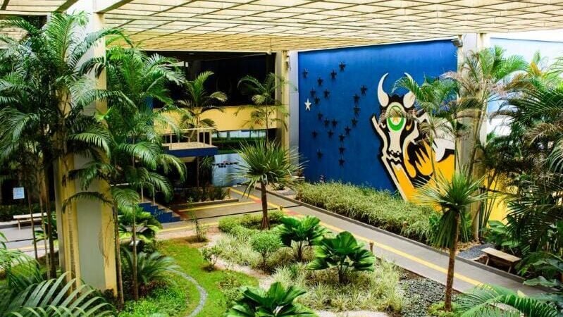 MT paga salários de março aos servidores na segunda-feira e injeta R$ 529 mi na economia