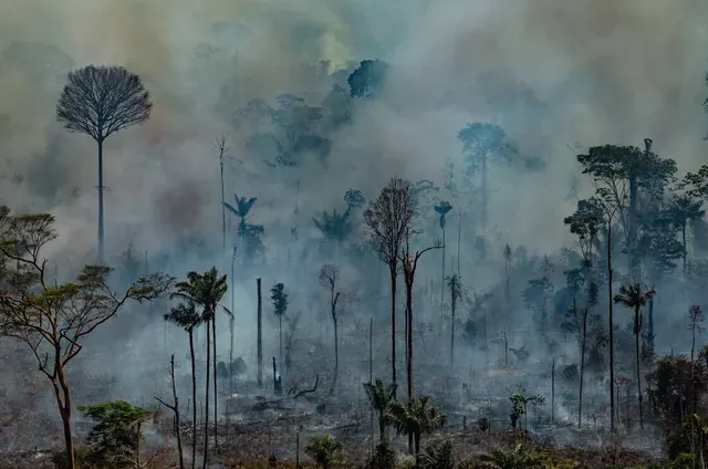 MP aciona Estado e quer proibir desvio de finalidade de recursos de multas ambientais em MT