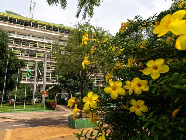 Confira as políticas públicas da Prefeitura de Cuiabá voltadas para as mulheres