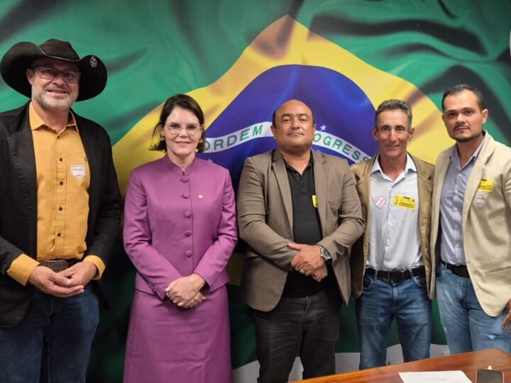 Vereadores Buscam em Brasília Recursos para pavimentação das ruas de acesso as escolas públicas urbanas de Guarantã do Norte.