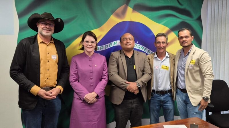 Vereadores Buscam em Brasília Recursos para pavimentação das ruas de acesso as escolas públicas urbanas de Guarantã do Norte.