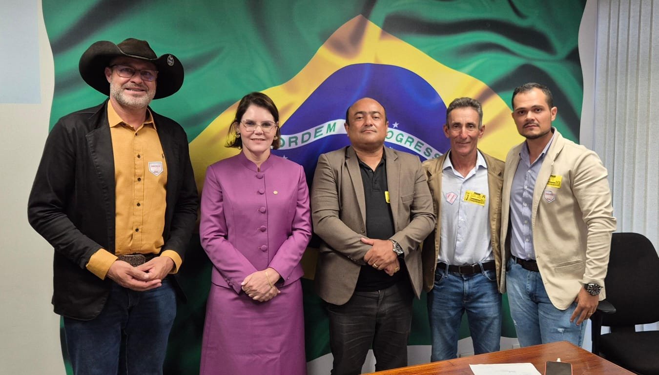 Vereadores Buscam em Brasília Recursos para pavimentação das ruas de acesso as escolas públicas urbanas de Guarantã do Norte.