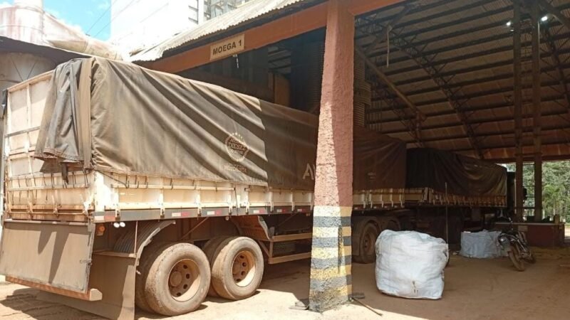 Homem é preso com CNH falsa e caminhão adulterado ao tentar carregar soja em fazenda de MT